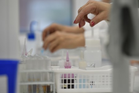 Kliknij, aby powiększyć zdjęcie.